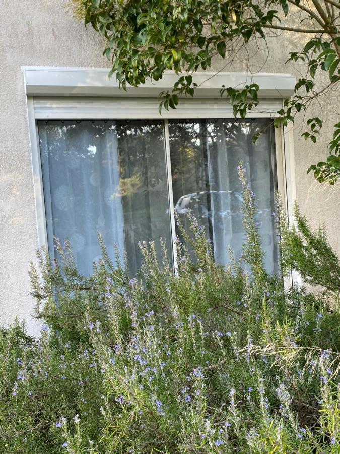 Mas Des Tournevents Bed and Breakfast Lézignan-Corbières Buitenkant foto